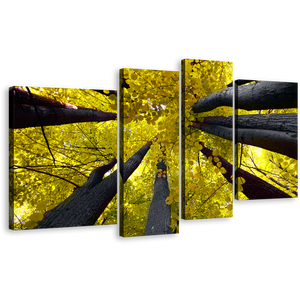 Forest Autumn Canvas Print, Grey Aspen Tree Canopy Canvas Set, Yellow Looking Up Trees 4 Piece Canvas Wall Art