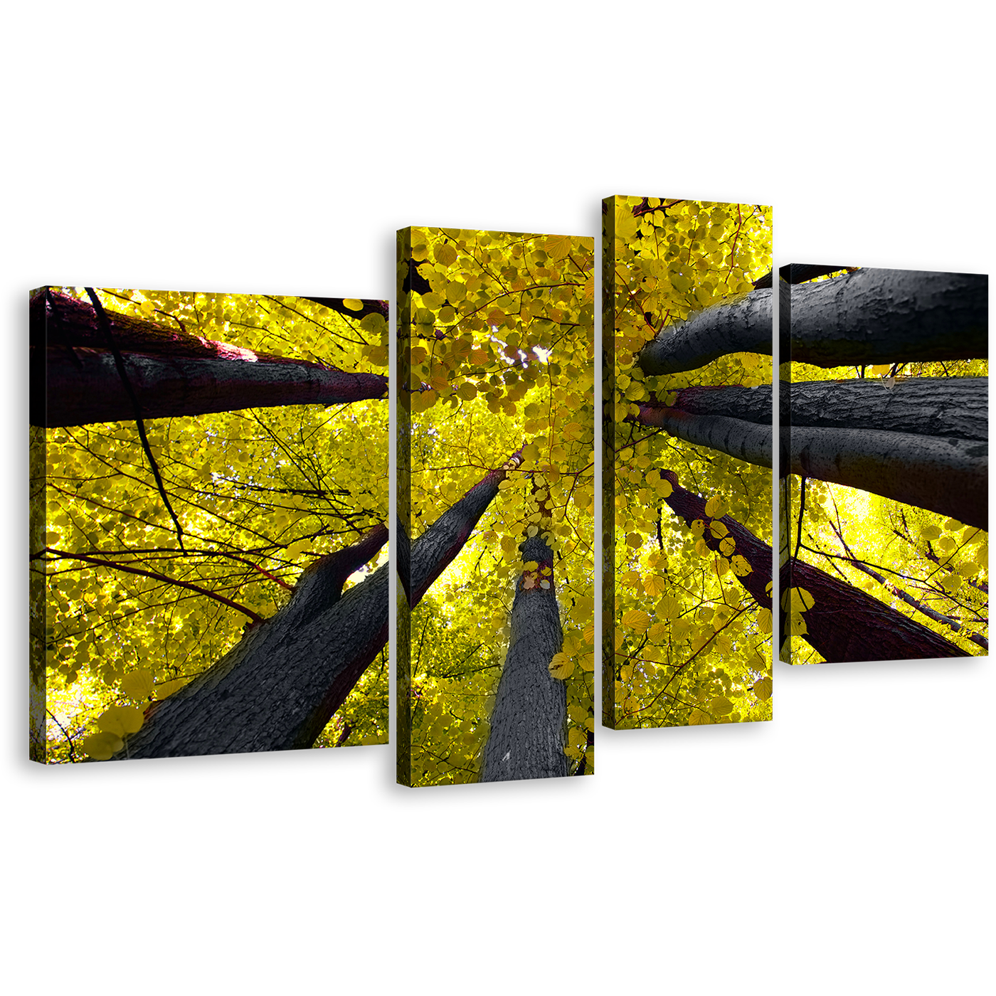 Forest Autumn Canvas Print, Grey Aspen Tree Canopy Canvas Set, Yellow Looking Up Trees 4 Piece Canvas Wall Art