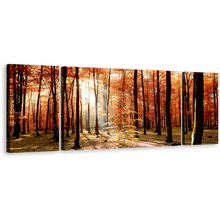 Load image into Gallery viewer, Forest Scenery Canvas Print, Orange Autumn Trees Sunrise Triptych Canvas Set, Green Fields Forest 3 Piece Canvas Wall Art
