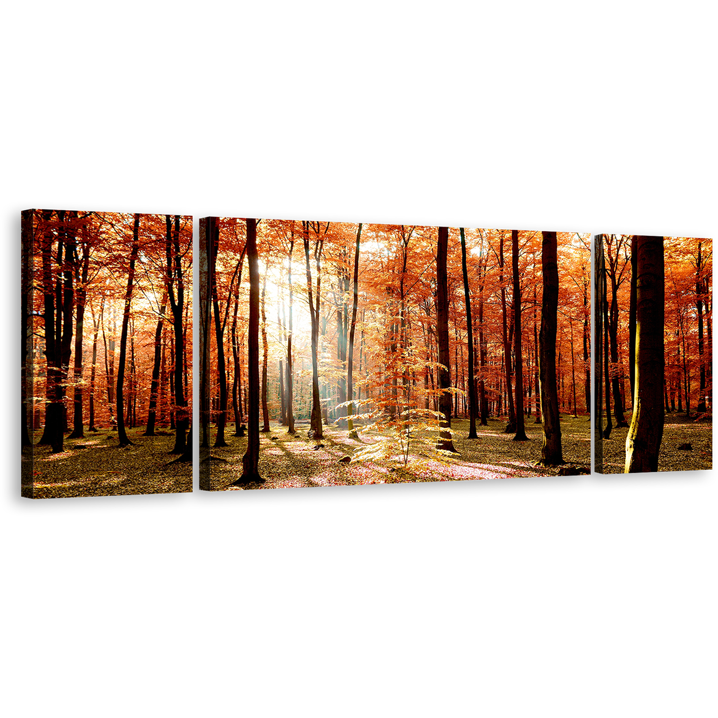 Forest Scenery Canvas Print, Orange Autumn Trees Sunrise Triptych Canvas Set, Green Fields Forest 3 Piece Canvas Wall Art