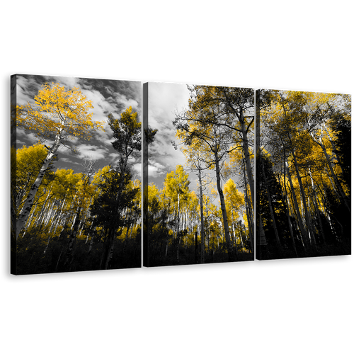 Forest Scenery Wall Art, Contemporary Dark Sky Canvas Print, Black Yellow Forest Trees Fall Landscape 3 Piece Canvas Set