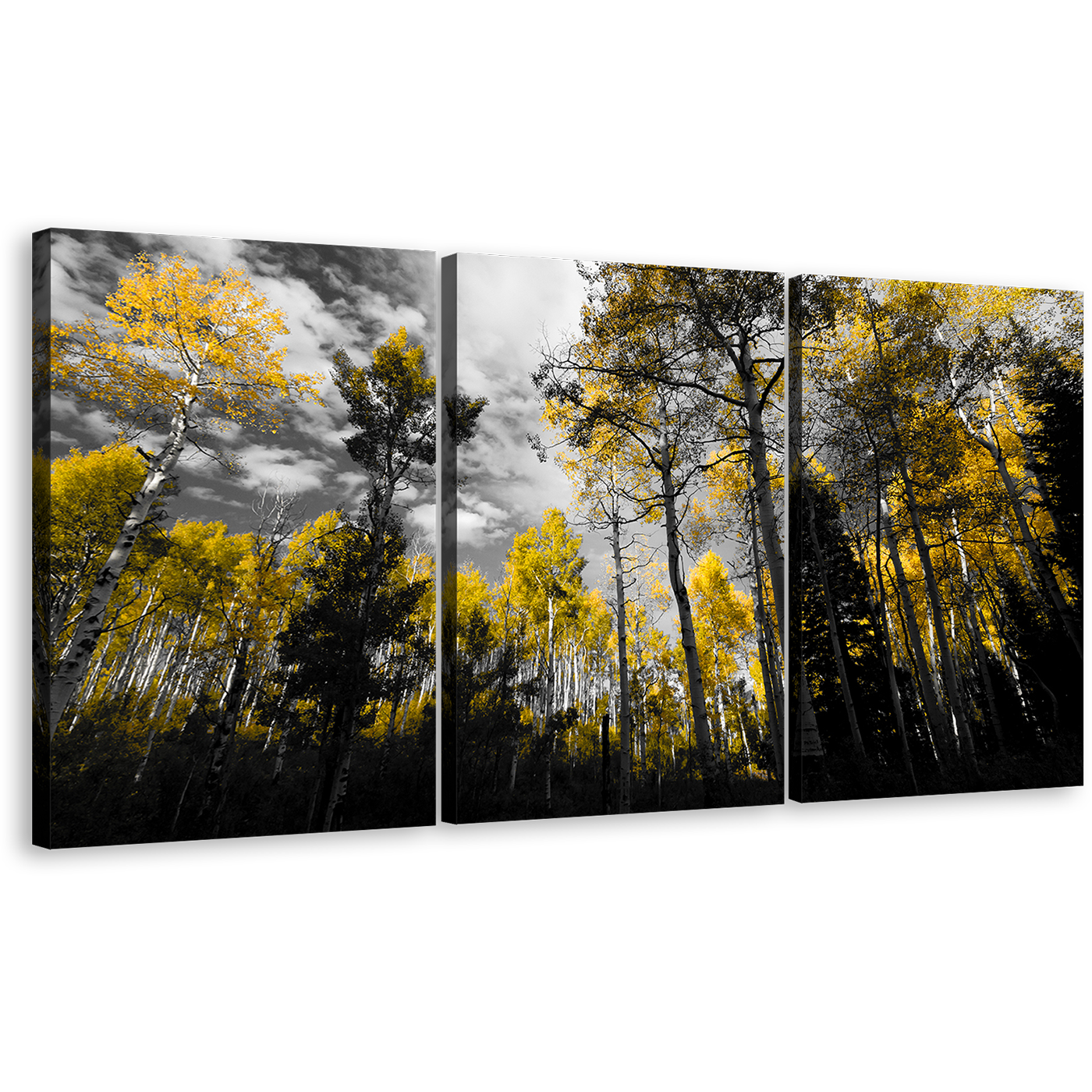 Forest Scenery Wall Art, Contemporary Dark Sky Canvas Print, Black Yellow Forest Trees Fall Landscape 3 Piece Canvas Set