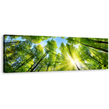 Load image into Gallery viewer, Forest Sky Canvas Print, Beautiful Blue Sky Sunrise Nature Canvas Art, Looking Up Green Trees 1 Piece Wall Art
