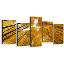 Load image into Gallery viewer, Forest Sky Canvas Wall Art, Orange Trees Autumn Forest Canvas Print, Looking Up Through Forest 5 Piece Multi Canvas
