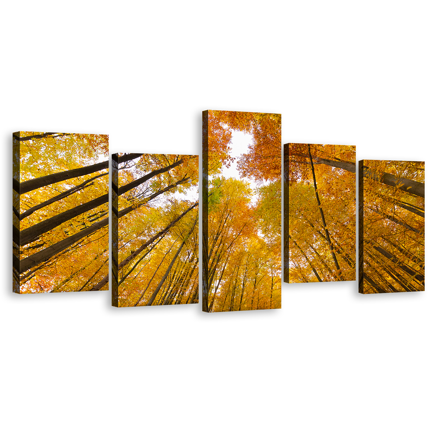 Forest Sky Canvas Wall Art, Orange Trees Autumn Forest Canvas Print, Looking Up Through Forest 5 Piece Multi Canvas