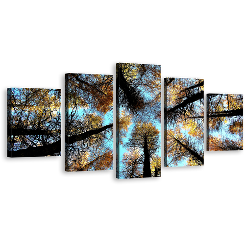 Forest Sky Canvas Wall Art, Yellow Trees Autumn Forest Canvas Print, Looking Up Grove of Trees 5 Piece Canvas, Scotland Blue Sky Canvas Set