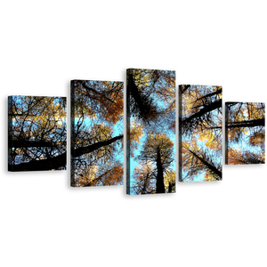 Forest Sky Canvas Wall Art, Yellow Trees Autumn Forest Canvas Print, Looking Up Grove of Trees 5 Piece Canvas, Scotland Blue Sky Canvas Set
