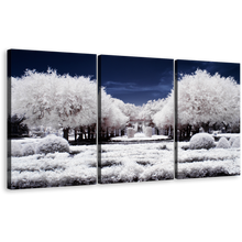 Load image into Gallery viewer, Forest Trees Canvas Print, Blue Sky Nature Scenery Multiple Canvas, Winter Snow Covered White Trees 3 Piece Canvas Wall Art, Winter Autumn Forest Canvas Set
