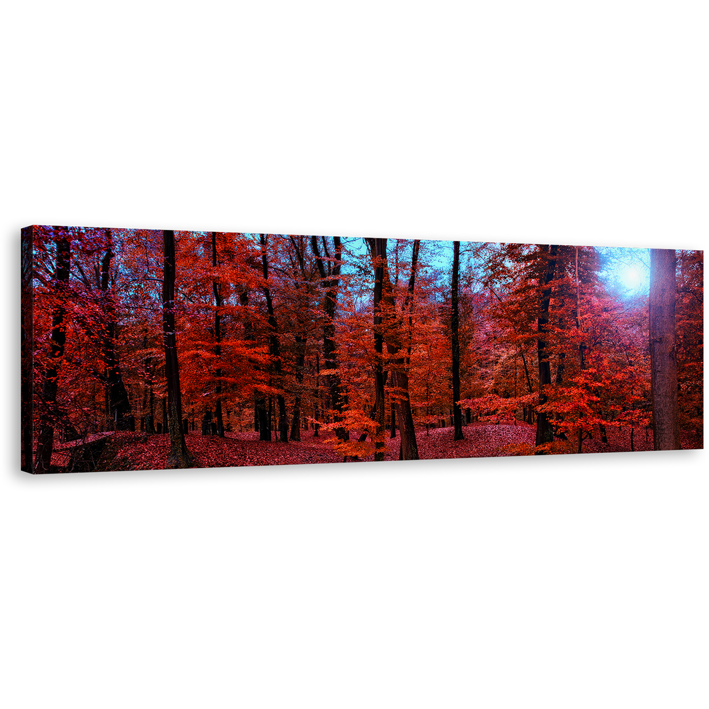 Forest Woodlands Canvas Wall Art, Red Panoramic Canvas, Mystic Blue Forest Sunlight Canvas Print