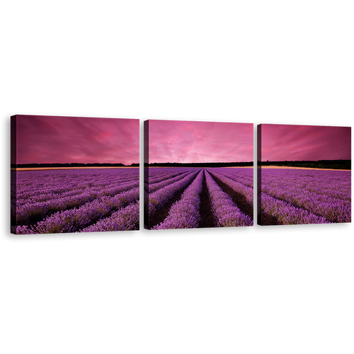 France Valensole Canvas Wall Art, Beautiful Black Landscape Scenery Sunrise Multi Canvas Artwork, Purple Lavender Fields 3 Piece Canvas Print