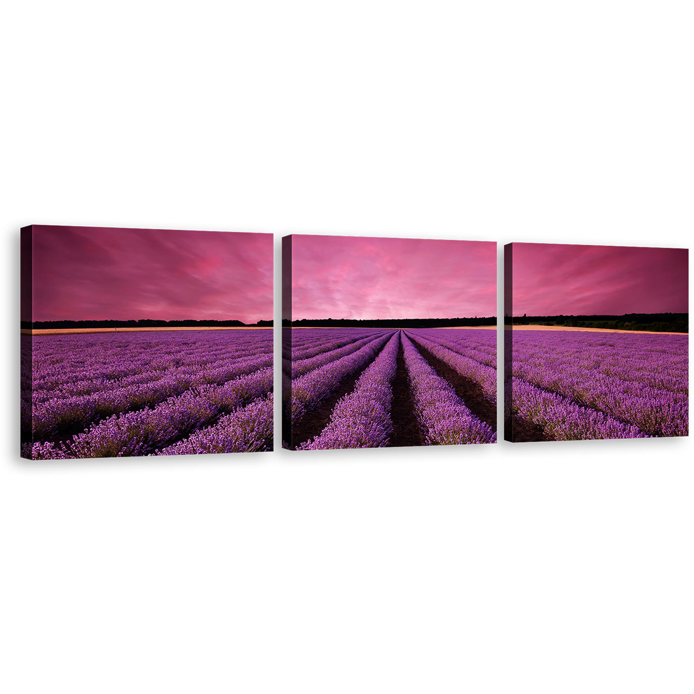 France Valensole Canvas Wall Art, Beautiful Black Landscape Scenery Sunrise Multi Canvas Artwork, Purple Lavender Fields 3 Piece Canvas Print