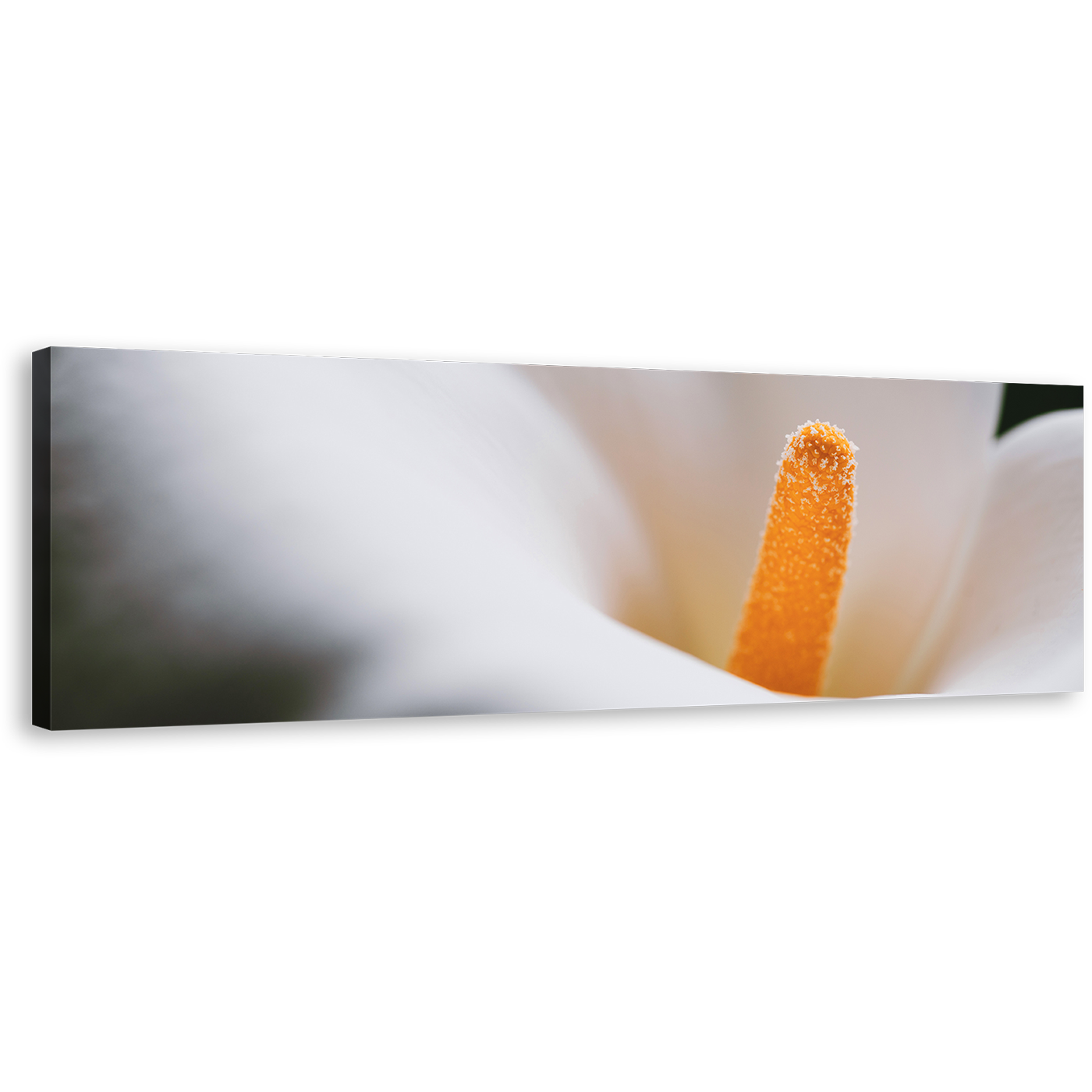 Fresh LiIy Canvas Wall Art, White Lily Close Up 1 Piece Canvas Print, Yellow Flower Head Canvas Artwork