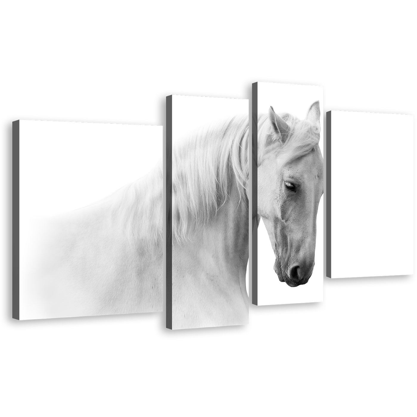 Gelding Horse Canvas Wall Art, Isolated White Grey Horse 4 Piece Canvas Set, Gelding Horse Canvas Print