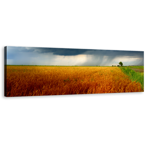 Grain Field Canvas Print, Grey Storm Clouds Canvas Wall Art, Orange Green Field Scenery Panoramic Canvas Artwork