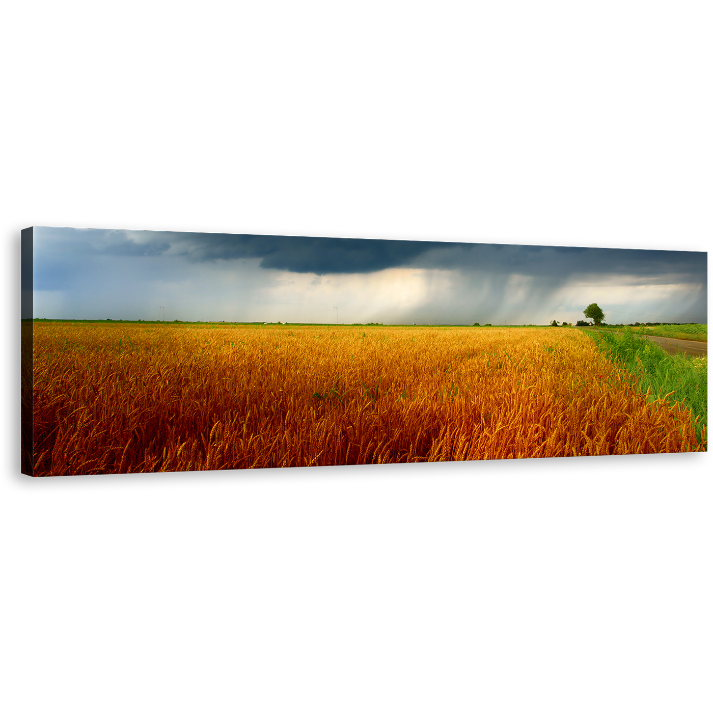 Grain Field Canvas Print, Grey Storm Clouds Canvas Wall Art, Orange Green Field Scenery Panoramic Canvas Artwork