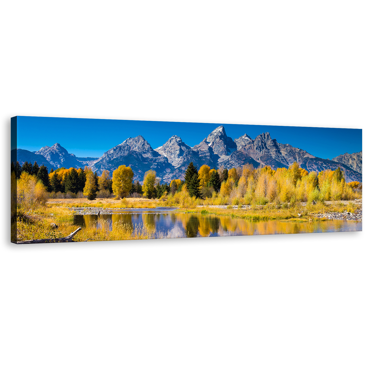 Grand Teton Canvas Print, Golden Aspen Trees Canvas Art, Yellow Wyoming National Park Ocean Mountains Panoramic Wall Art