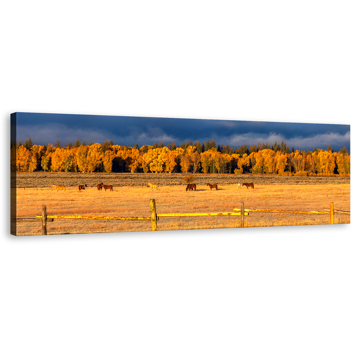 Grand Tetons Canvas Wall Art, Orange Autumn Foliage Panoramic Canvas, Blue Cloudy Sky Canvas Print, Beautiful Trees Horses Landscape Canvas Artwork