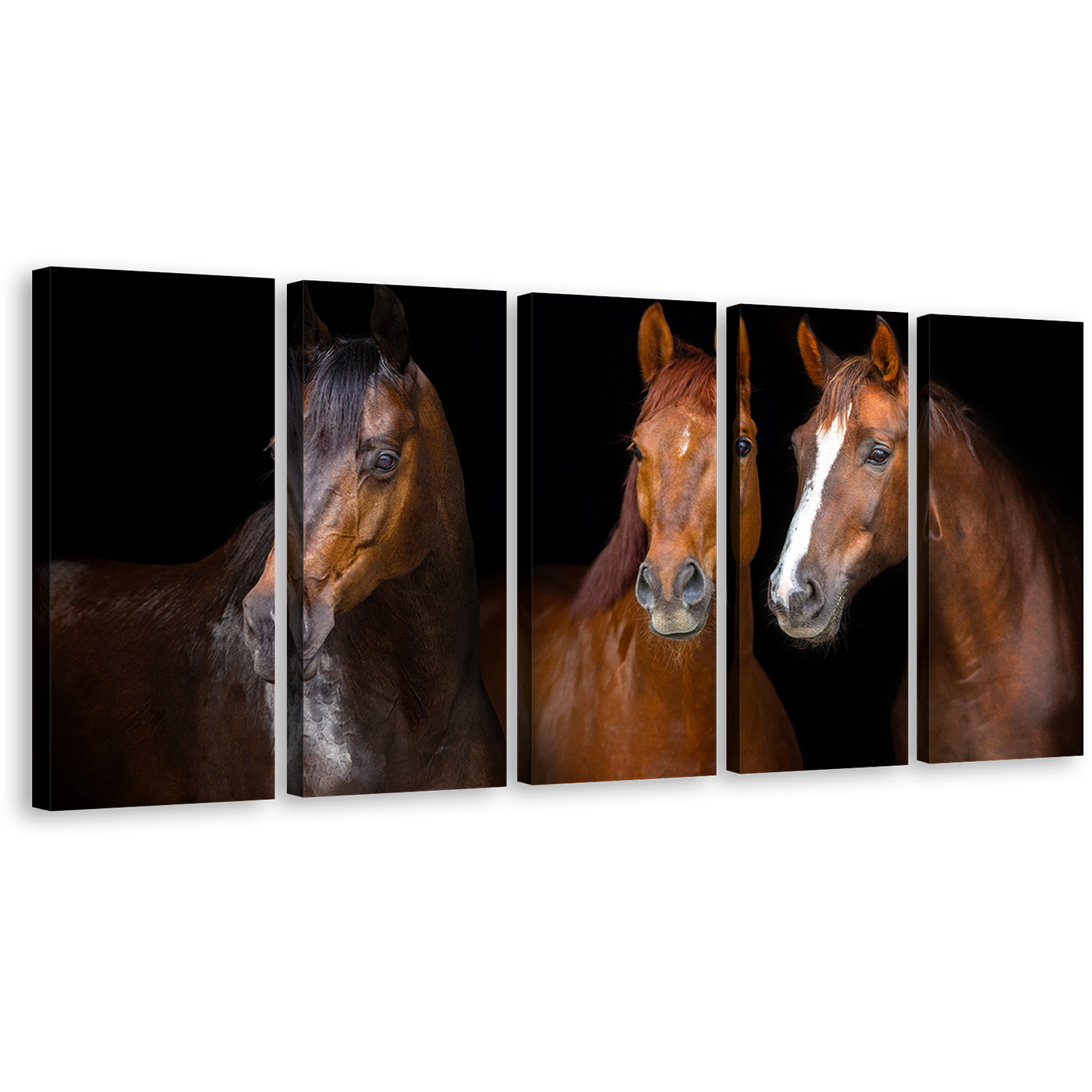 Group Horses Canvas Wall Art, Brown Horses Portrait 5 Piece Canvas Print, Isolated Horses Black Background Multi Canvas, Three Horses Canvas Set