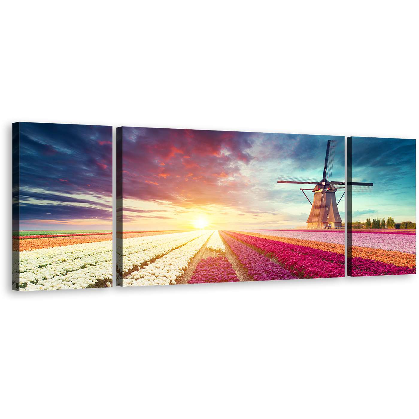 Holland Landscape Canvas Print, Green Netherlands Windmill Scenery Triptych Canvas Set, Red Green Tulips Field 3 Piece Canvas Wall Art