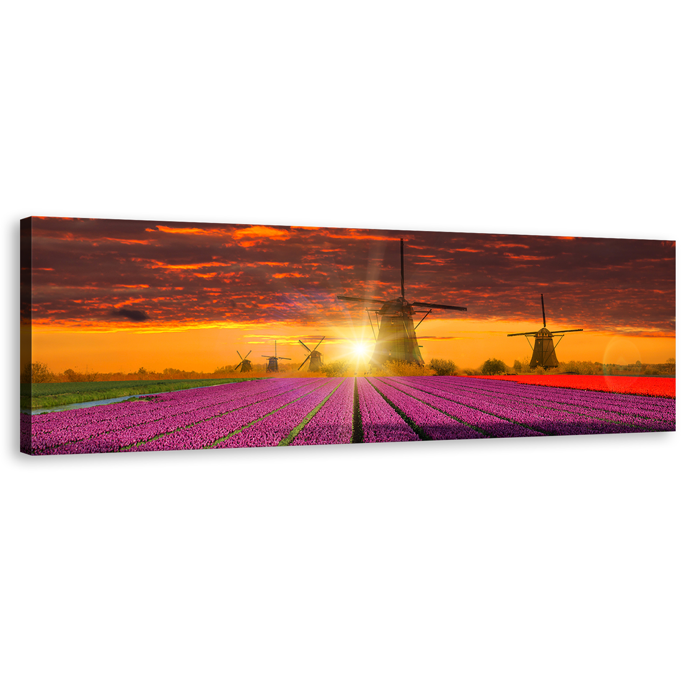 Holland Landscape Canvas Wall Art, Dramatic Orange Sunset Sky Windmill 1 Piece Canvas Artwork, Red Purple Tulips Field Scenery Canvas Print