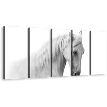 Load image into Gallery viewer, Horse Closeup Canvas Wall Art, Grey Gelding Horse 5 Piece Canvas Print, White Horse Portrait Multiple Canvas
