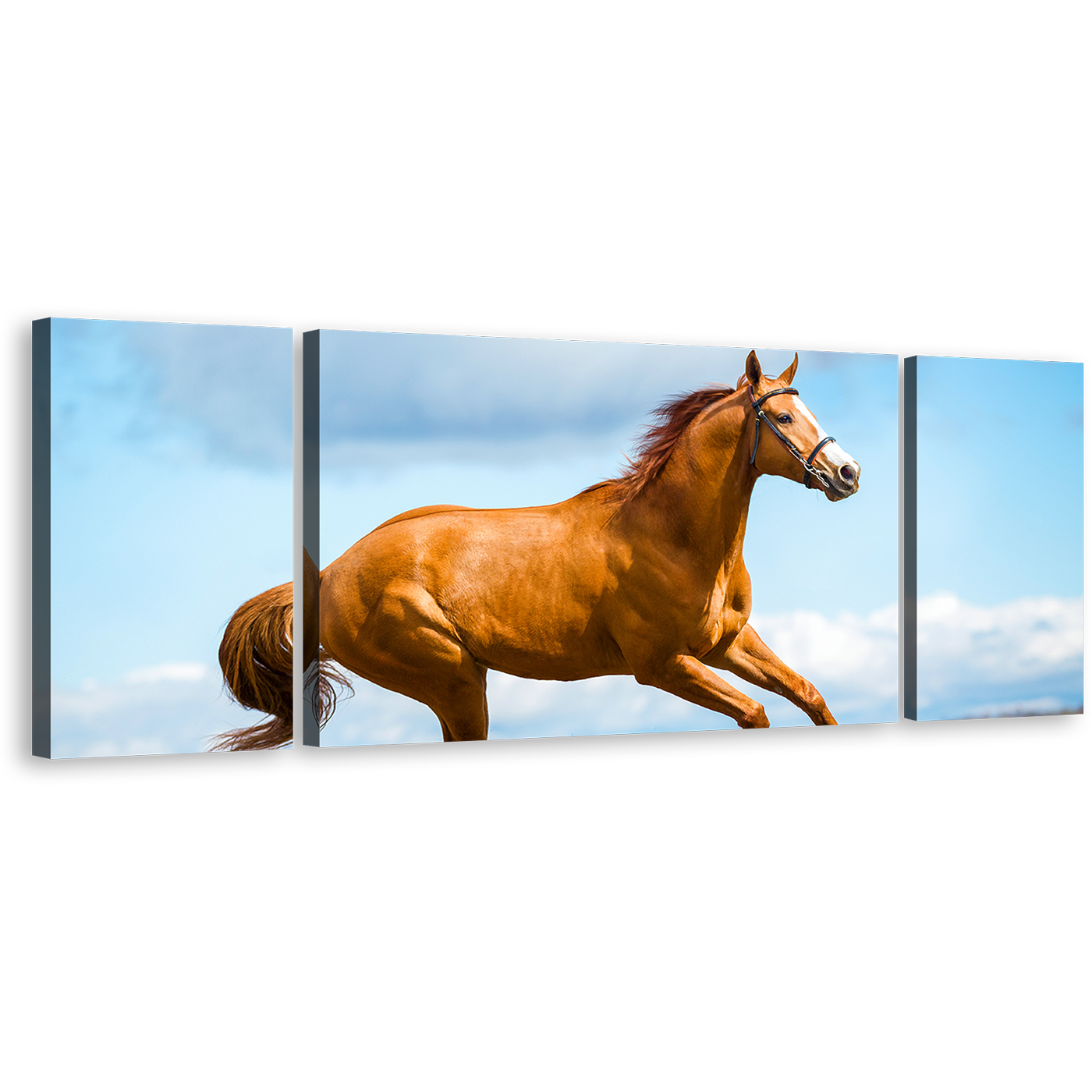 Horse Gallop Canvas Wall Art, Brown Horse Runs Across Field 3 Piece Canvas Print, Blue Sky Horse in Air Triptych Canvas Set