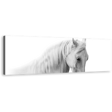 Load image into Gallery viewer, Horse Portrait Canvas Wall Art, Elegant Horse Close Up 1 Piece Canvas Print, Isolated White Grey Horse Canvas Artwork
