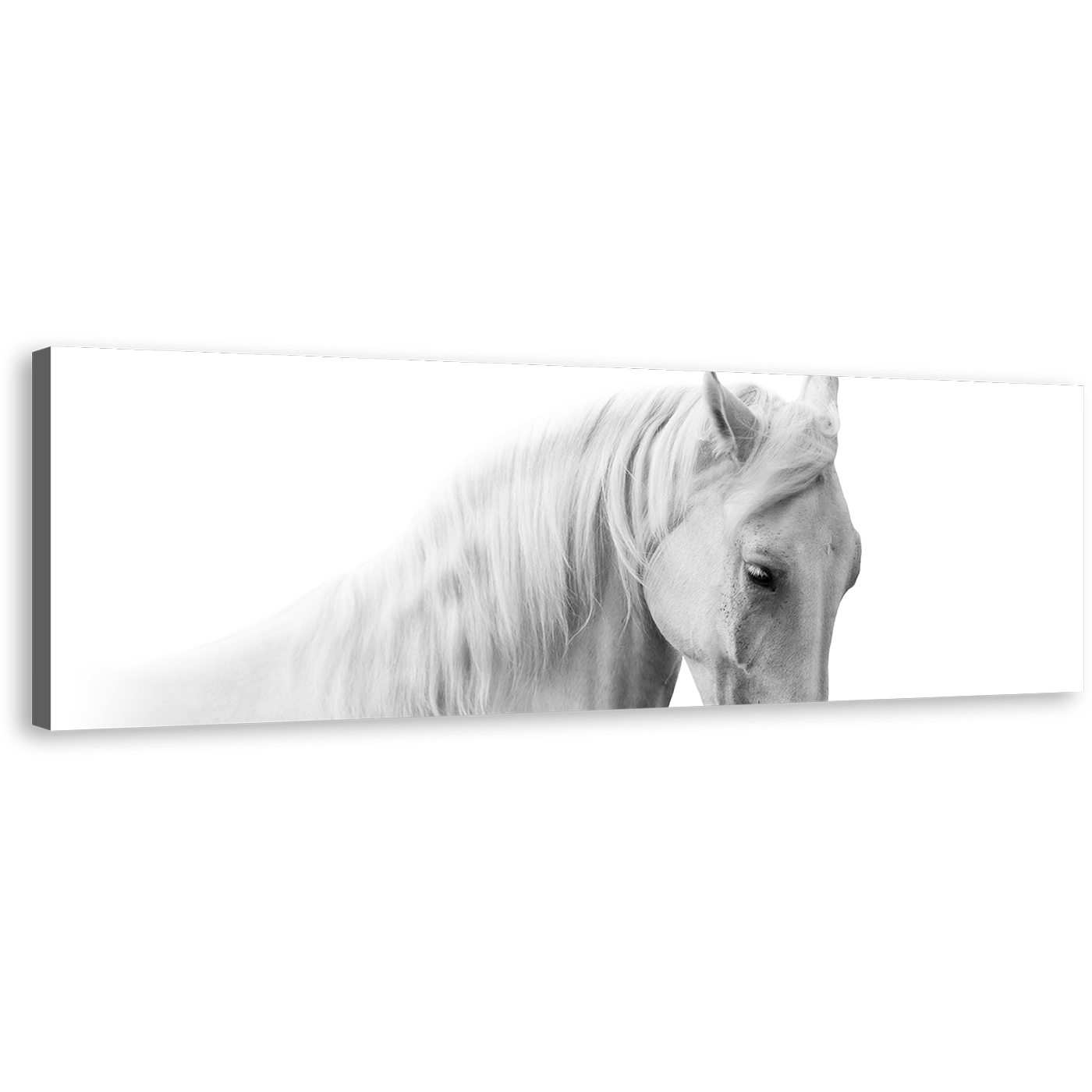 Horse Portrait Canvas Wall Art, Elegant Horse Close Up 1 Piece Canvas Print, Isolated White Grey Horse Canvas Artwork