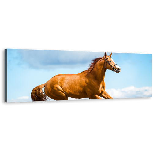 Horse Runs Canvas Print, Brown Horse in Air 1 Piece Canvas Wall Art, Blue Sky Horse Gallop Wide Canvas