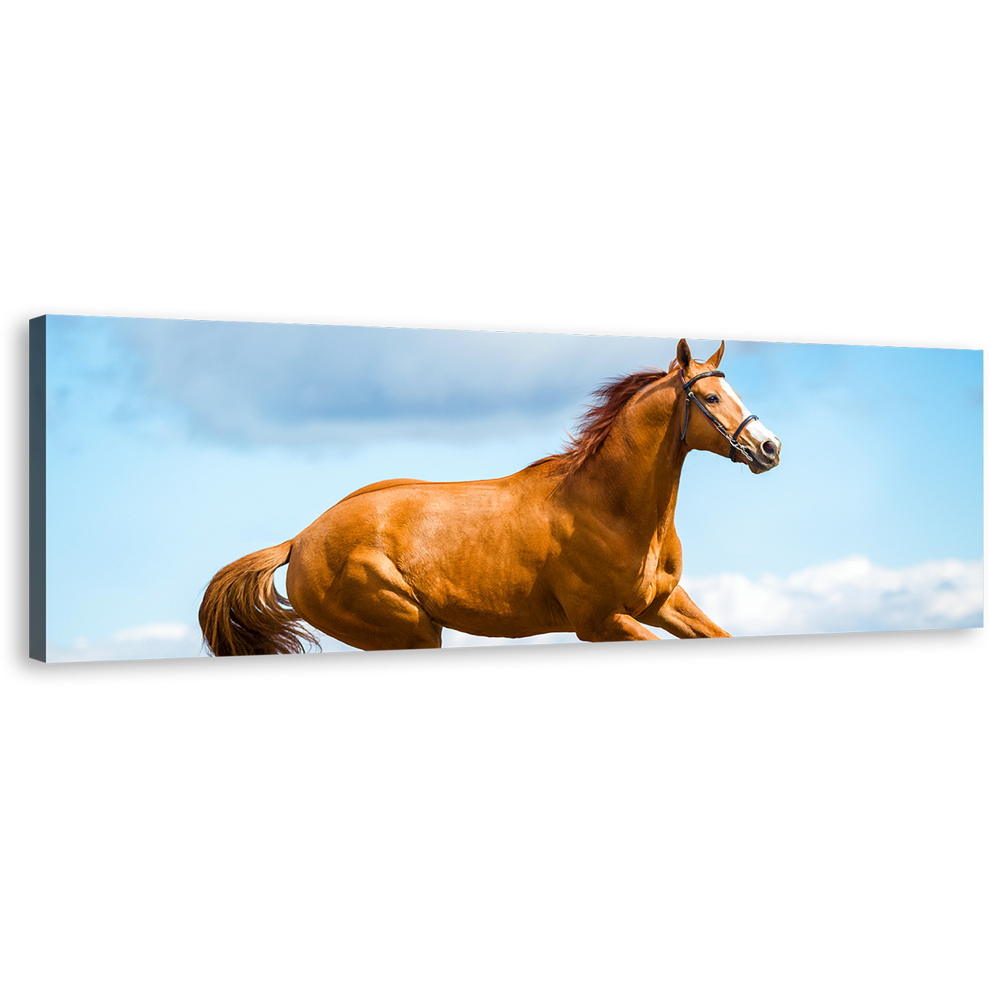 Horse Runs Canvas Print, Brown Horse in Air 1 Piece Canvas Wall Art, Blue Sky Horse Gallop Wide Canvas