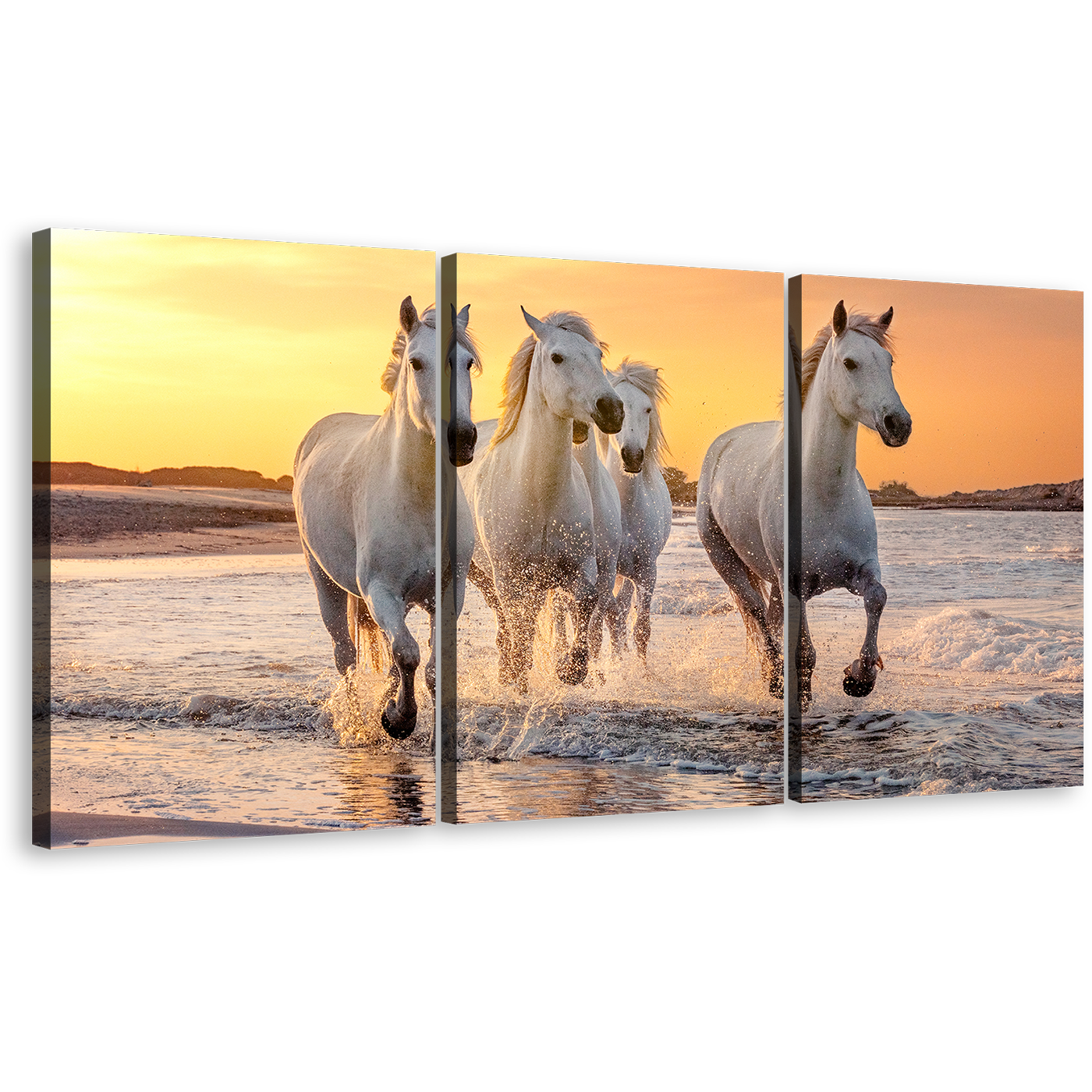 Horses Beach Canvas Wall Art, White Horses Sea 3 Piece Multiple Canvas, Horses Yellow Sunset Sky Triptych Canvas Print