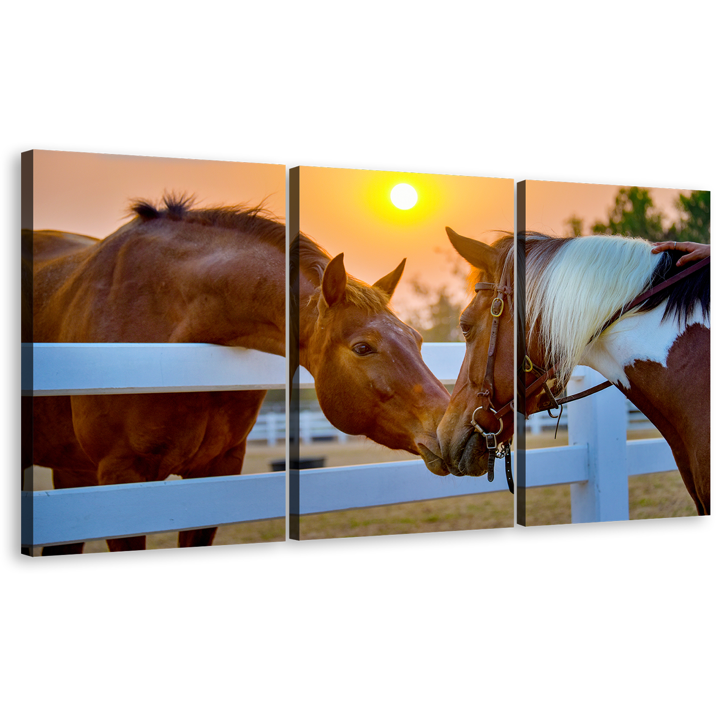 Horses Firm Canvas Print, Brown Horses Romance 3 Piece Canvas Wall Art, Horses in Yellow Sunset Canvas Artwork