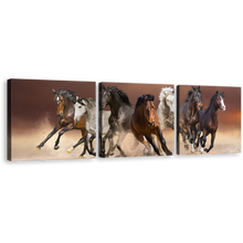 Load image into Gallery viewer, Horses Herd Canvas Wall Art, Animal Run In Sky Desert 3 Piece Canvas Print,  Black White Brown Horses Running Triptych Canvas Print
