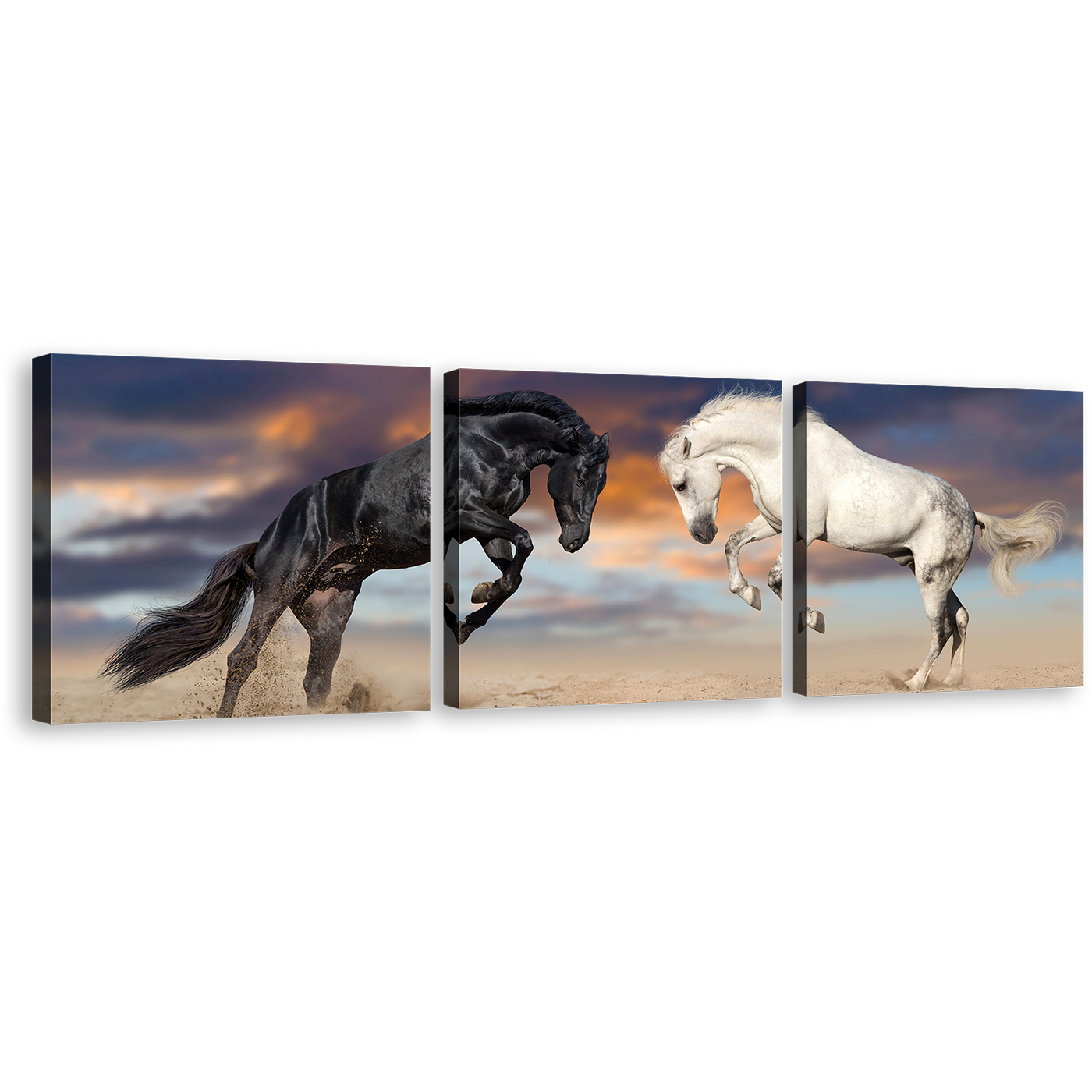 Horses Playing Canvas Wall Art, Horses Fight 3 Piece Multiple Canvas, Black White Horses Rearing Triptych Canvas Print