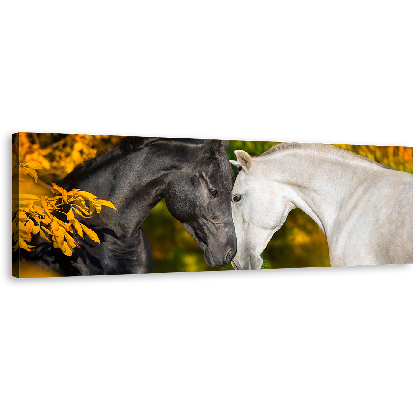 Horses Portrait Canvas Print, Horses in Orange Autumn Wide Canvas, Black and White Horses 1 Piece Canvas Wall Art