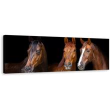 Load image into Gallery viewer, Horses Portrait Canvas Wall Art, Horses Black Background Wide Canvas, Three Brown Horses 1 Piece Canvas Print
