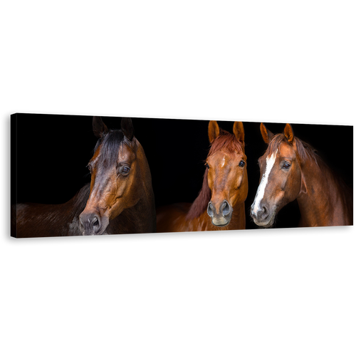 Horses Portrait Canvas Wall Art, Horses Black Background Wide Canvas, Three Brown Horses 1 Piece Canvas Print