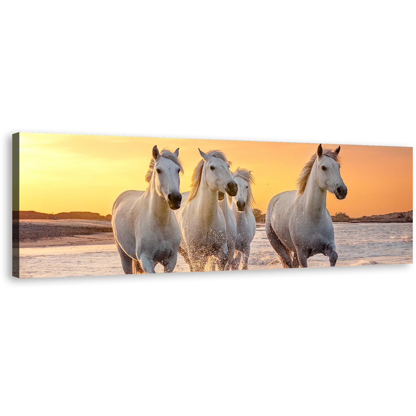 Horses Sea Canvas Wall Art, Horses Yellow Sunset Sky Panoramic Canvas Print, White Horses Running Forward Wide Canvas