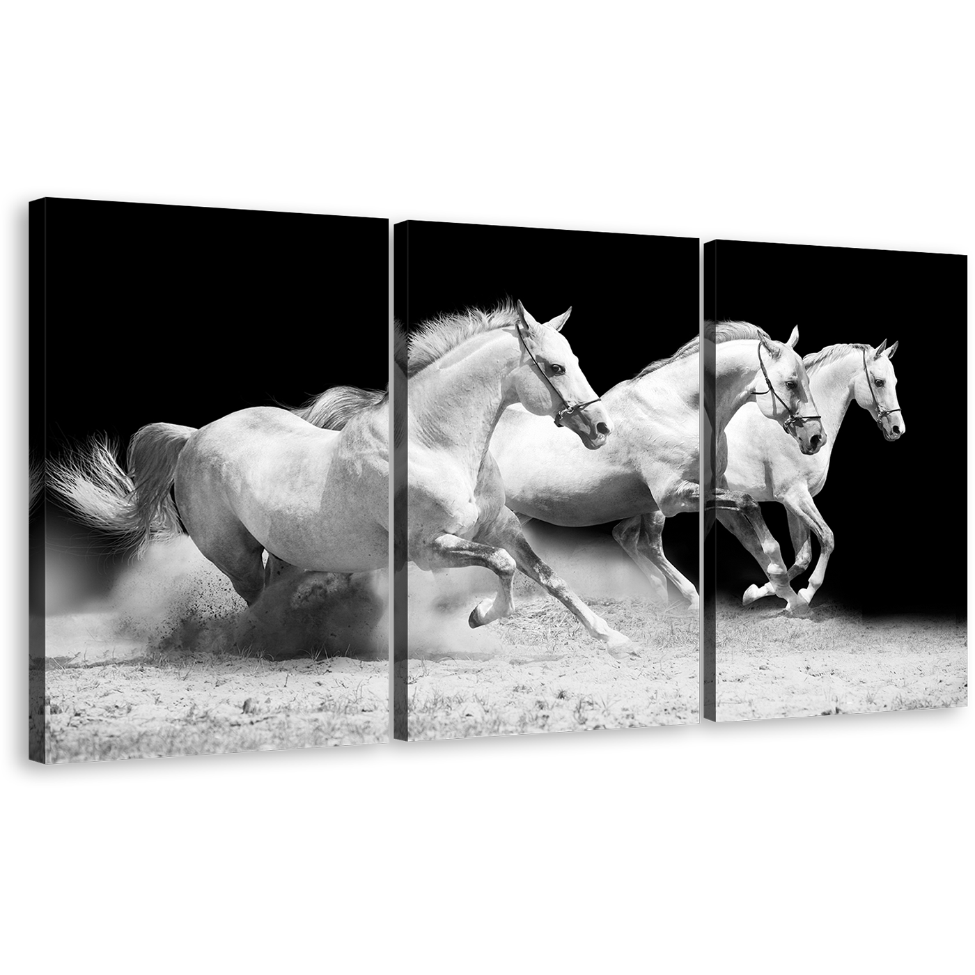 Horses Stallions Canvas Wall Art, Herd Of White Grey Horses 3 Piece Canvas Print, Galloping Horses Triptych Canvas Set