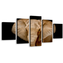 Load image into Gallery viewer, Isolated Elephant Canvas Print, Black Background Elephant Close Up 5 Piece Canvas Wall Art, Brown Elephant Multiple Canvas
