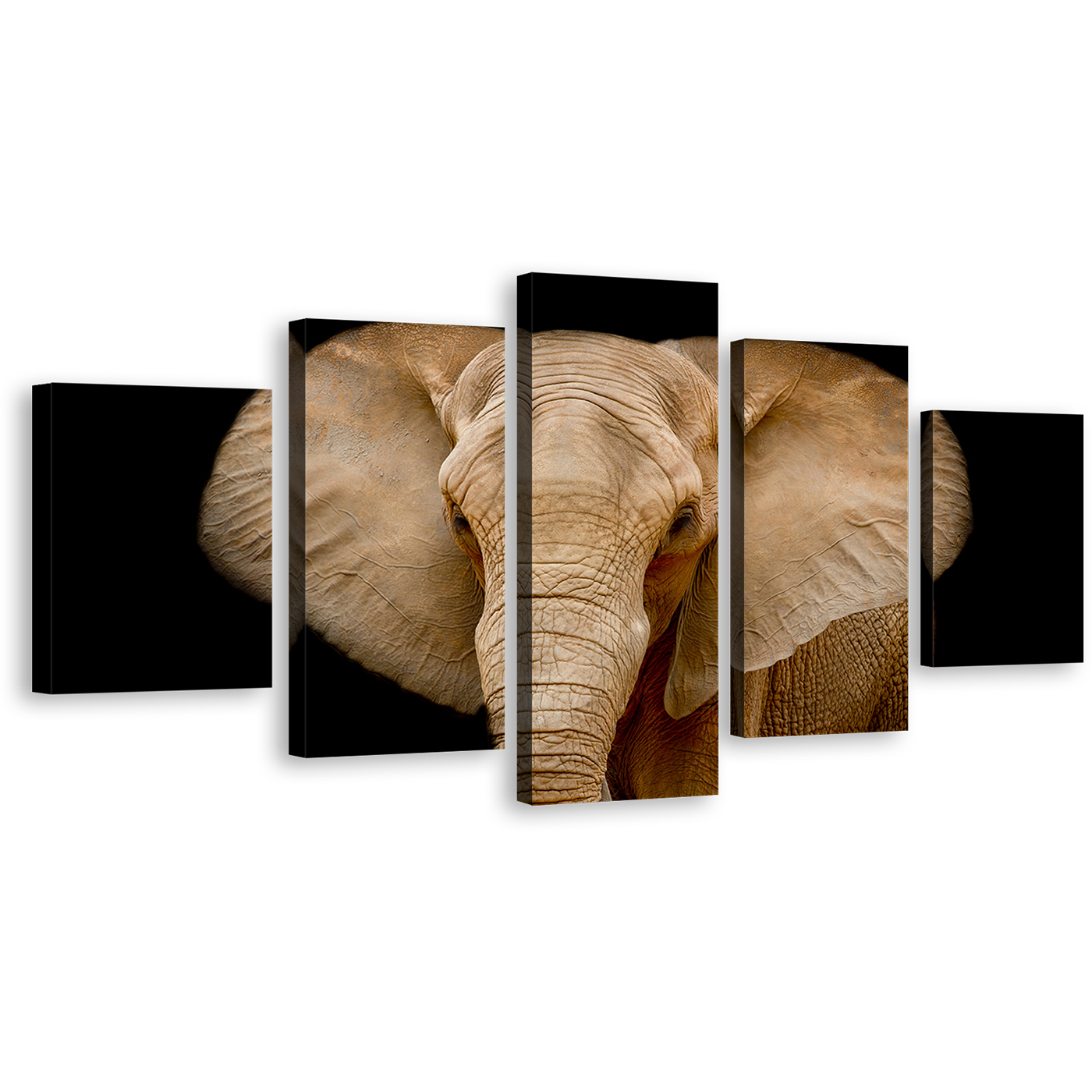 Isolated Elephant Canvas Print, Black Background Elephant Close Up 5 Piece Canvas Wall Art, Brown Elephant Multiple Canvas