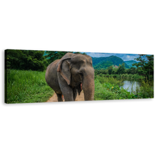 Load image into Gallery viewer, Isolated Elephant Canvas Wall Art, Elephant in Green Nature Wide Canvas, Grey Elephant Walking 1 Piece Canvas Print
