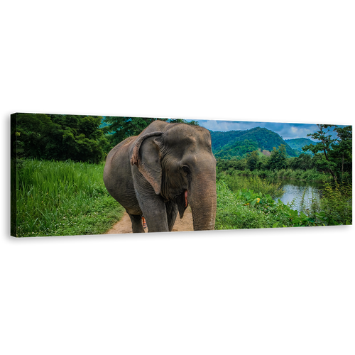 Isolated Elephant Canvas Wall Art, Elephant in Green Nature Wide Canvas, Grey Elephant Walking 1 Piece Canvas Print