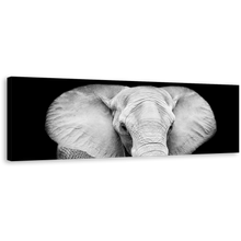 Load image into Gallery viewer, Isolated Elephant Canvas Wall Art, Grey Elephant Close Up 1 Piece Canvas Print, Elephant Black and White Canvas Artwork
