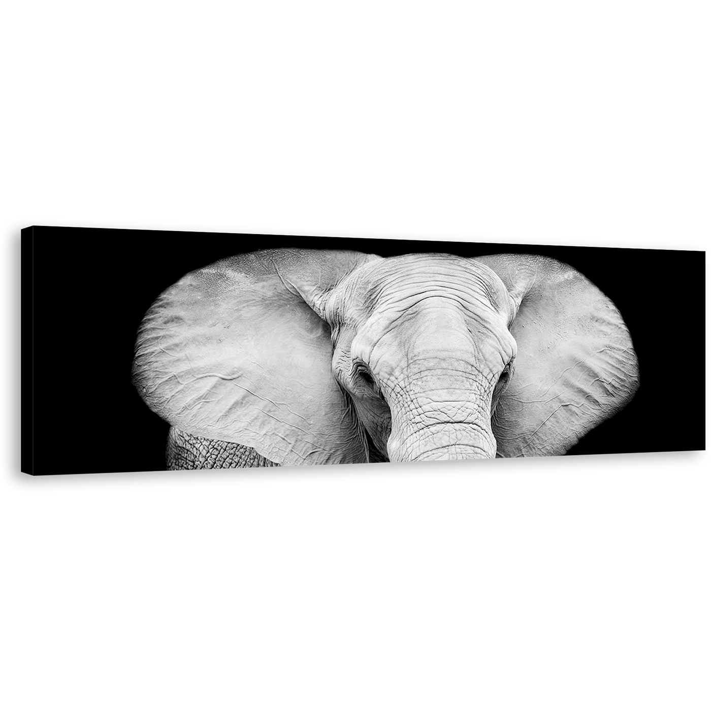 Isolated Elephant Canvas Wall Art, Grey Elephant Close Up 1 Piece Canvas Print, Elephant Black and White Canvas Artwork