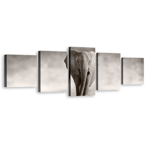 Isolated Elephant Canvas Wall Art, Grey Elephant Front Multiple Canvas, Black and White Elephant Portrait 5 Piece Canvas Print