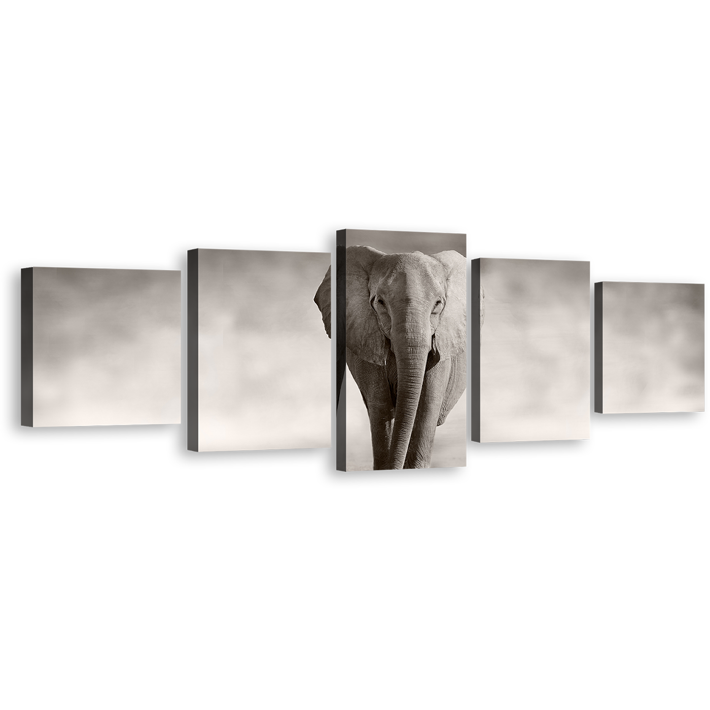 Isolated Elephant Canvas Wall Art, Grey Elephant Front Multiple Canvas, Black and White Elephant Portrait 5 Piece Canvas Print