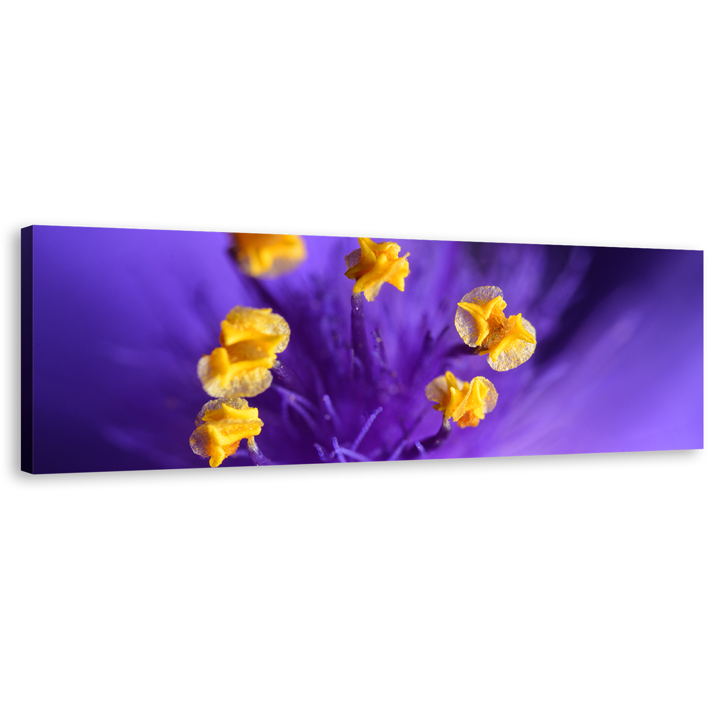 Isolated Floral Canvas Wall Art, Yellow Flowers Purple Background 1 Piece Canvas Artwork, Flowers Digital Painting Canvas Print