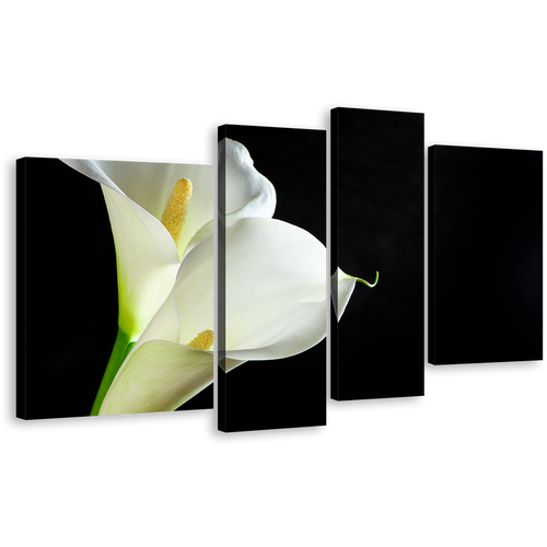 Isolated Flower Canvas Print, Calla Lilies 4 Piece Canvas Wall Art, White Lily Black Background Multiple Canvas