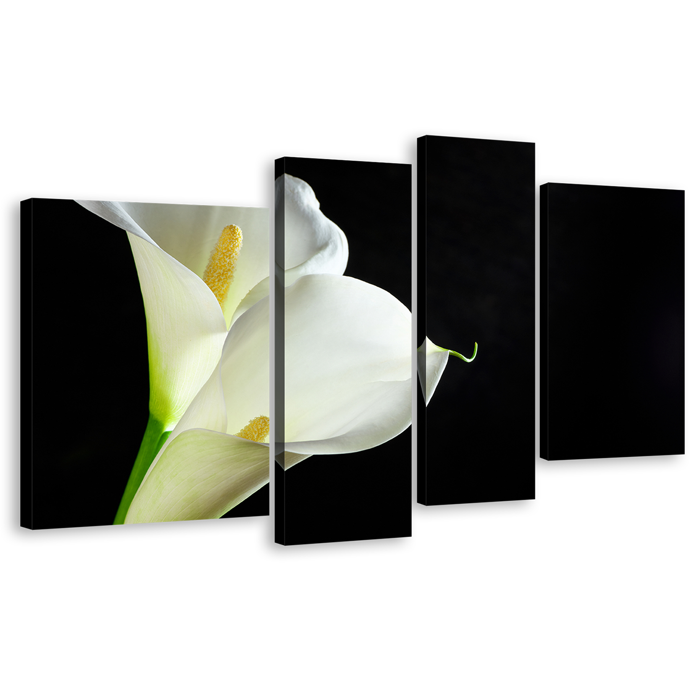 Isolated Flower Canvas Print, Calla Lilies 4 Piece Canvas Wall Art, White Lily Black Background Multiple Canvas